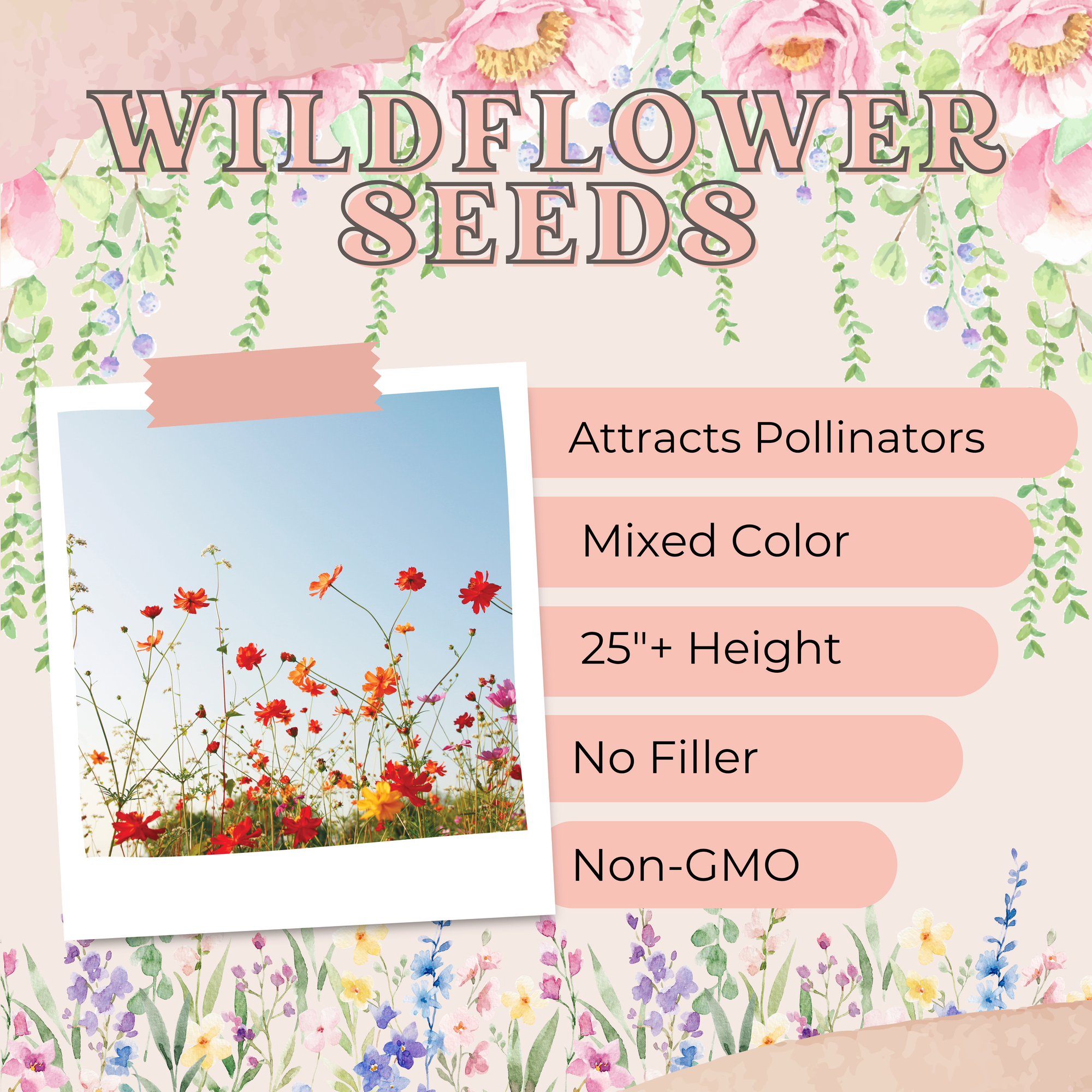 Advertisement for wildflower seeds with text and images of flowers.