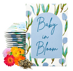 Baby In Bloom Wildflower Seed Packets Blue Boy