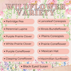 List of wildflower varieties with a floral background