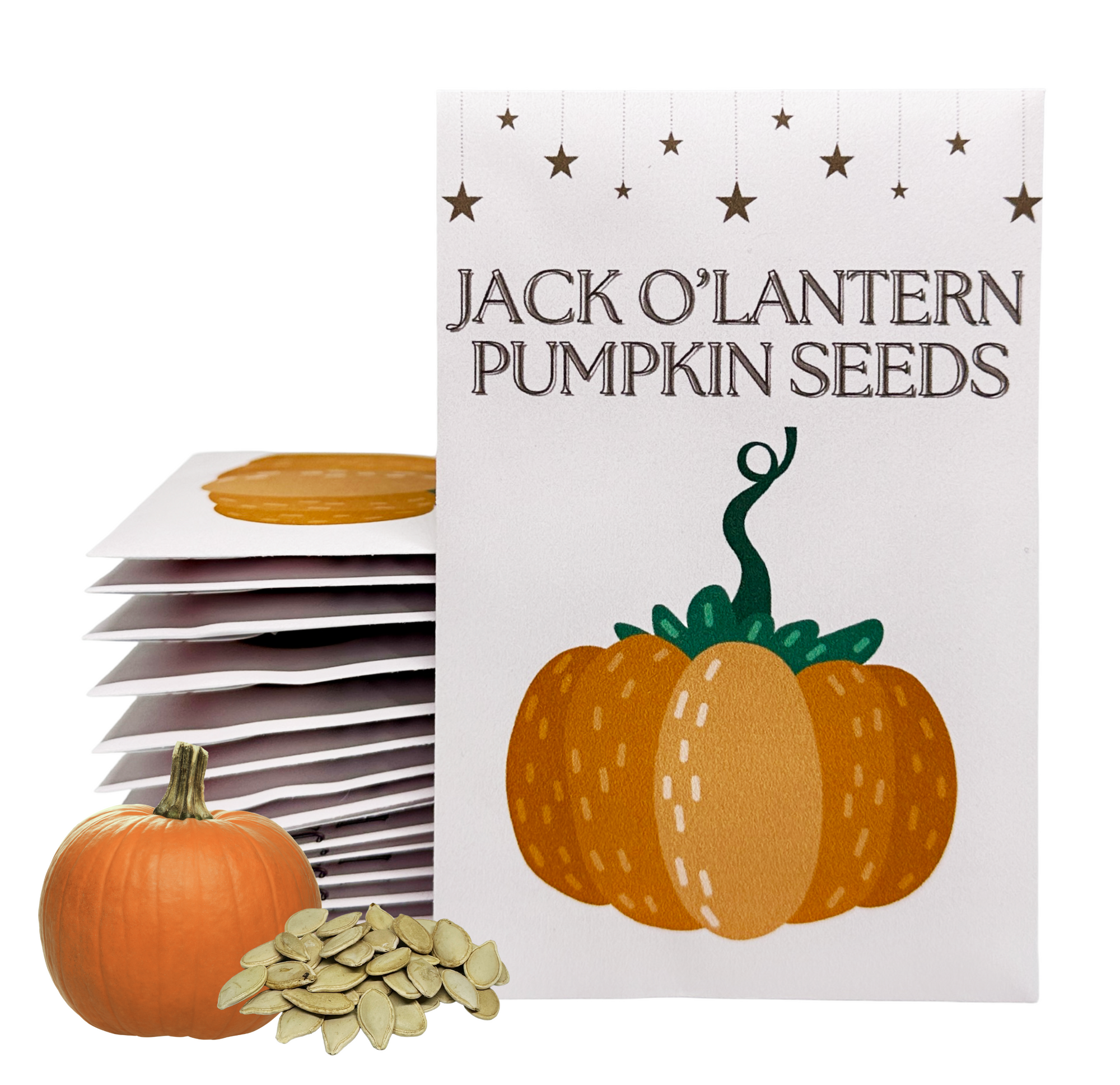 Jack O'Lantern Pumpkin Seeds for Planting - Bulk Party Favors Grow Garden Animated