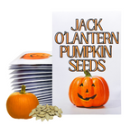 Jack O'Lantern Pumpkin Seeds for Planting - Bulk Party Favors Grow Garden Carved